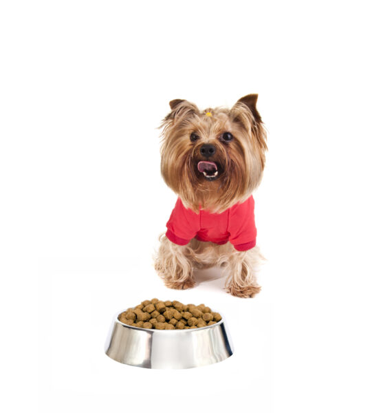 Qual é a quantidade ideal de ração para o pet? 1 Ração para o pet