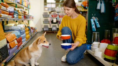 rede de pet shops