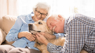 Pets e idosos