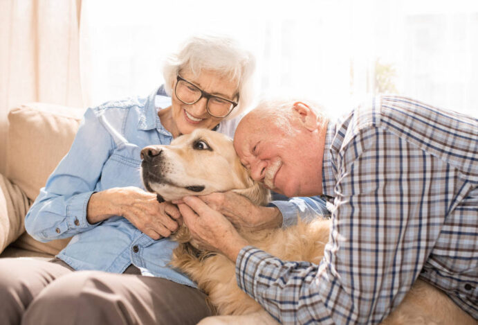 Pets e idosos
