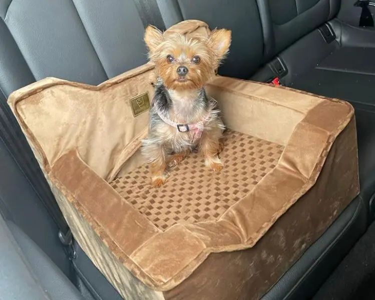 CADEIRA AUTOMOTIVA PARA PETS
