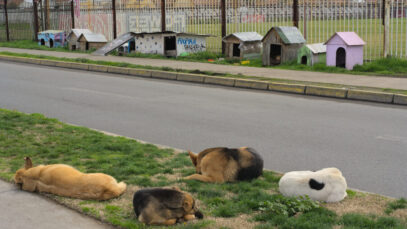 Turquia