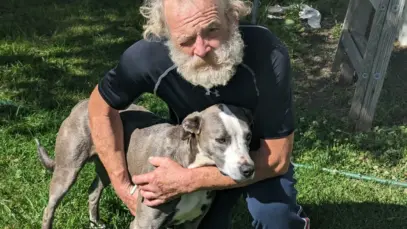 Cão corre seis quilômetros em busca de ajuda para salvar tutor
