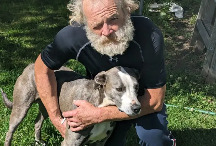 Cão corre seis quilômetros em busca de ajuda para salvar tutor