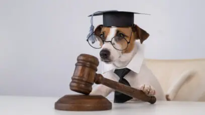 delegacias especializadas em proteção animal