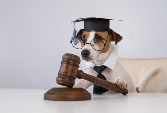 delegacias especializadas em proteção animal