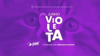 Junho violeta Pet