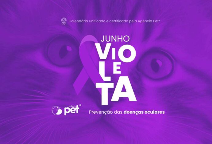 Junho violeta Pet