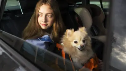 Taxista pet friendly