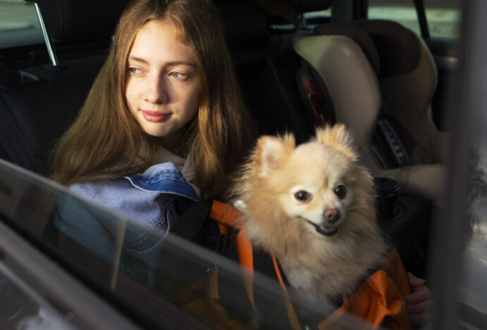 Taxista pet friendly