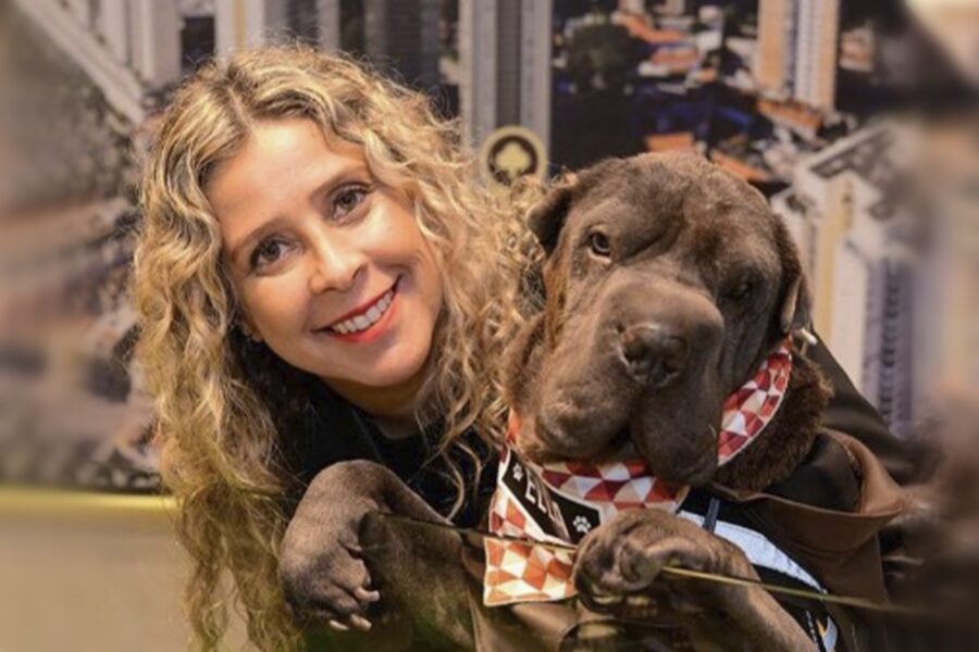 Latam aciona STF para não transportar cão na cabine do avião 1 Latam