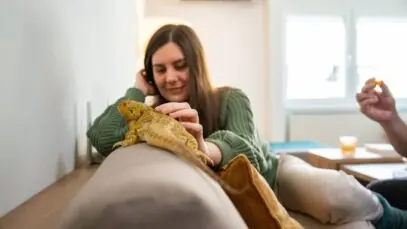 Iguana