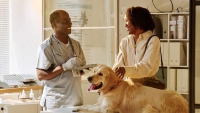 VETERINÁRIOS NO BRASIL