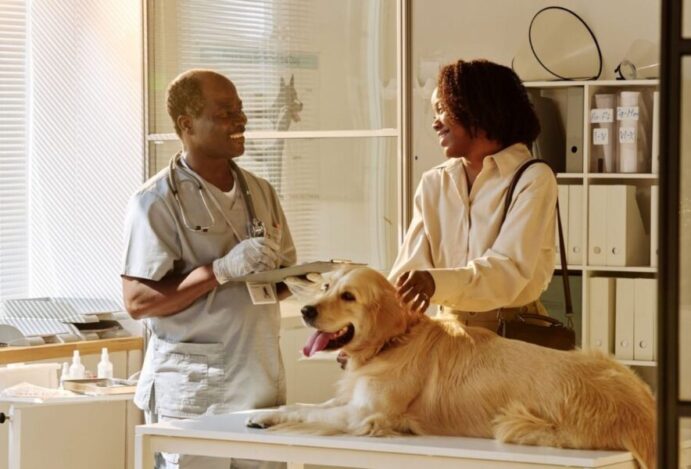 VETERINÁRIOS NO BRASIL