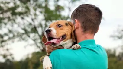 Humano responsável