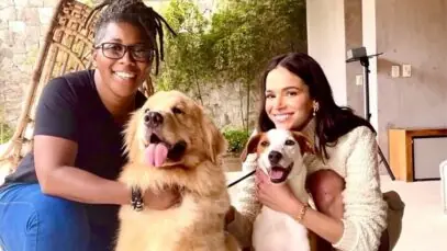 Adestramento de cães