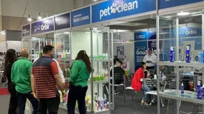 Amigos pet brasil
