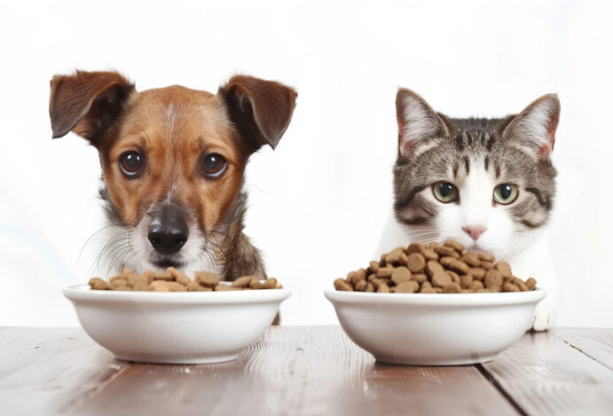 alimentos naturais super premium