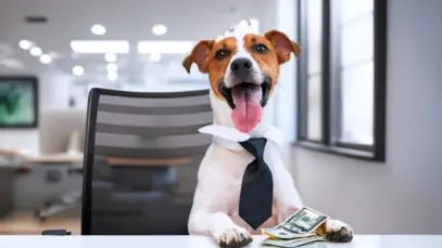 herança para pets