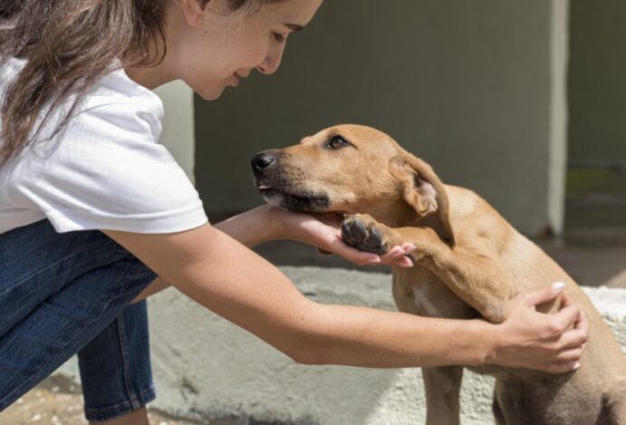 Adote um pet gauchinho