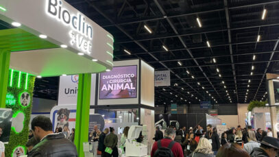 PET SOUTH