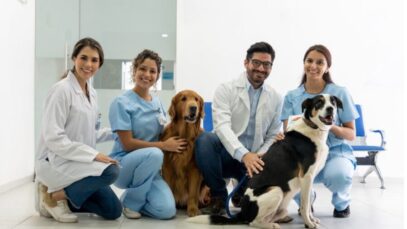 profissões
