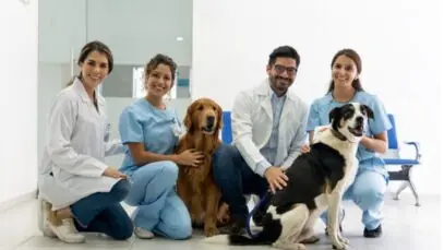 profissões