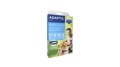 coleiras para cães