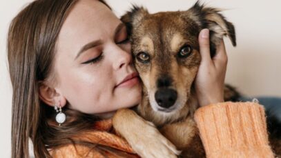 abandono de animais abandono de animais