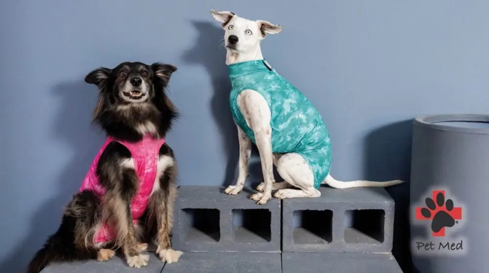Cães Pet Med PET MED