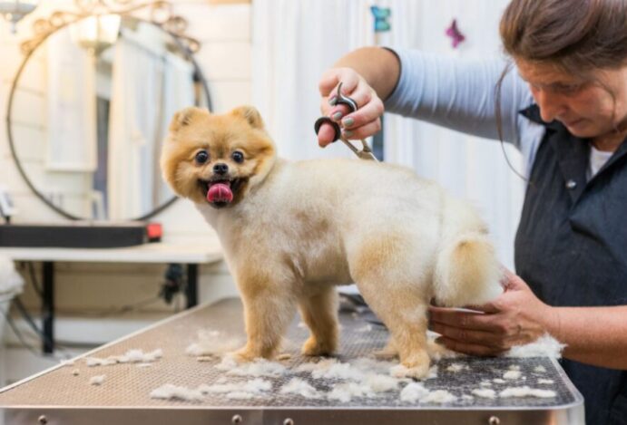 groomers