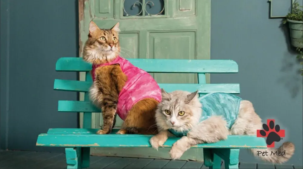Gatos Pet Med PET MED