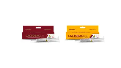 suplemento vitamínico para pets