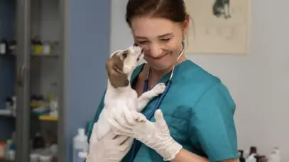 Dia do Médico Veterinário