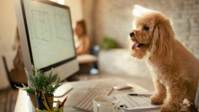 STARTUPS DE PET TECH