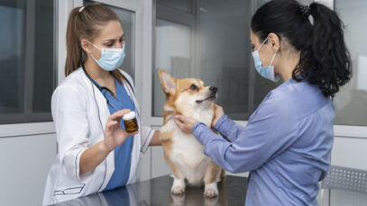 Dia Mundial da Luta Contra a Raiva