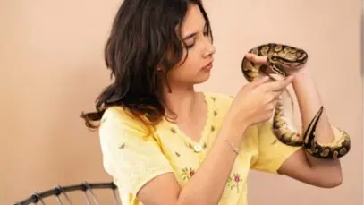 cobra doméstica