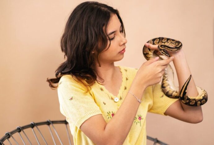 cobra doméstica