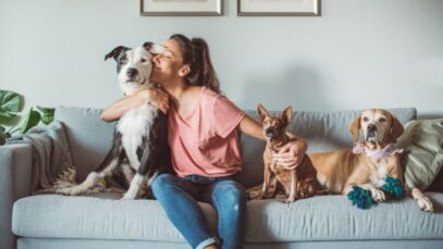 Design sem nome pet sitter