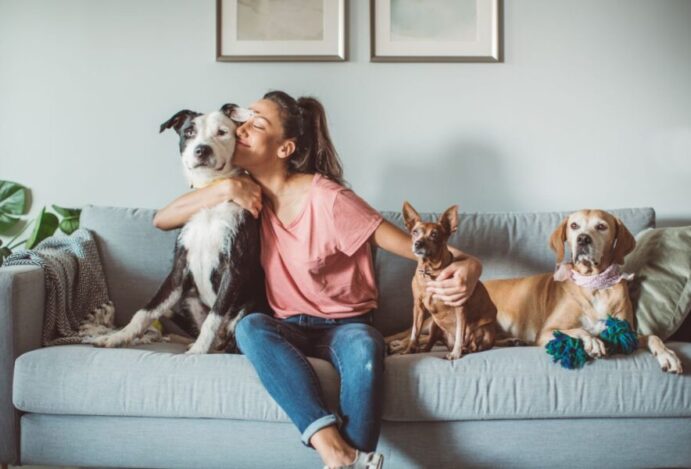 pet sitter