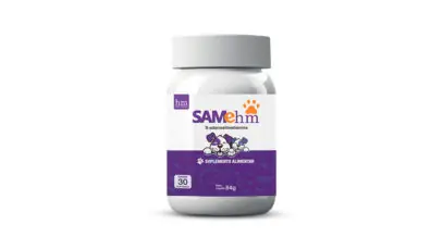 suporte nutricional