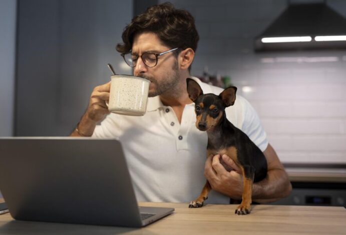 MARKETPLACE PARA PET SHOPS