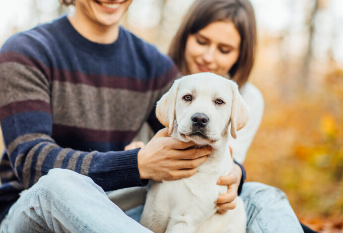 guarda de pets