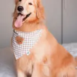 bandanas