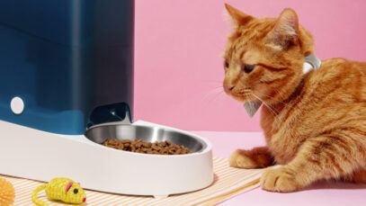 RAÇÕES PARA GATOS
