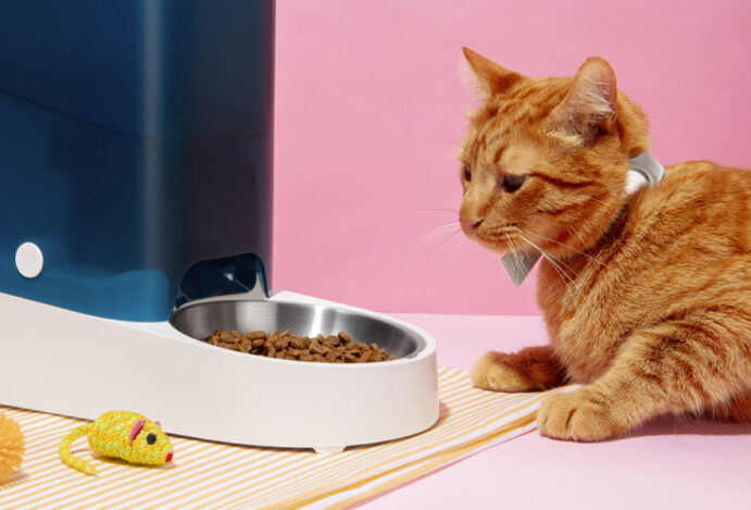 RAÇÕES PARA GATOS