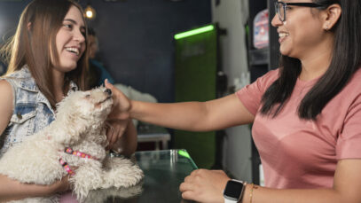MERCADO PET
