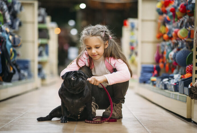 VENDA DE ANIMAIS EM PET SHOPS