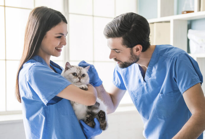 EAD PARA VETERINÁRIOS