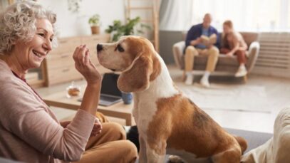 Fevereiro Roxo: cuidados com pets idosos